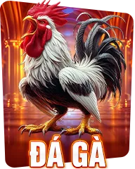 sảnh đá gà 98win